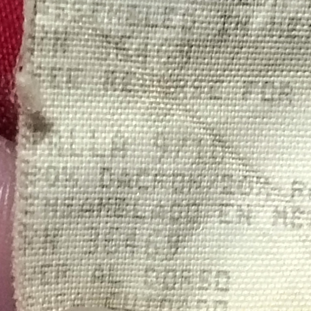 Red Jacket with Logo Detail - Picture 11 of 11